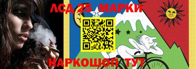 прущие грибы Пушкино