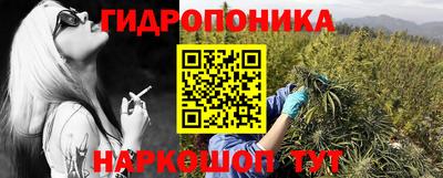 прущие грибы Пушкино