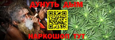 прущие грибы Пушкино